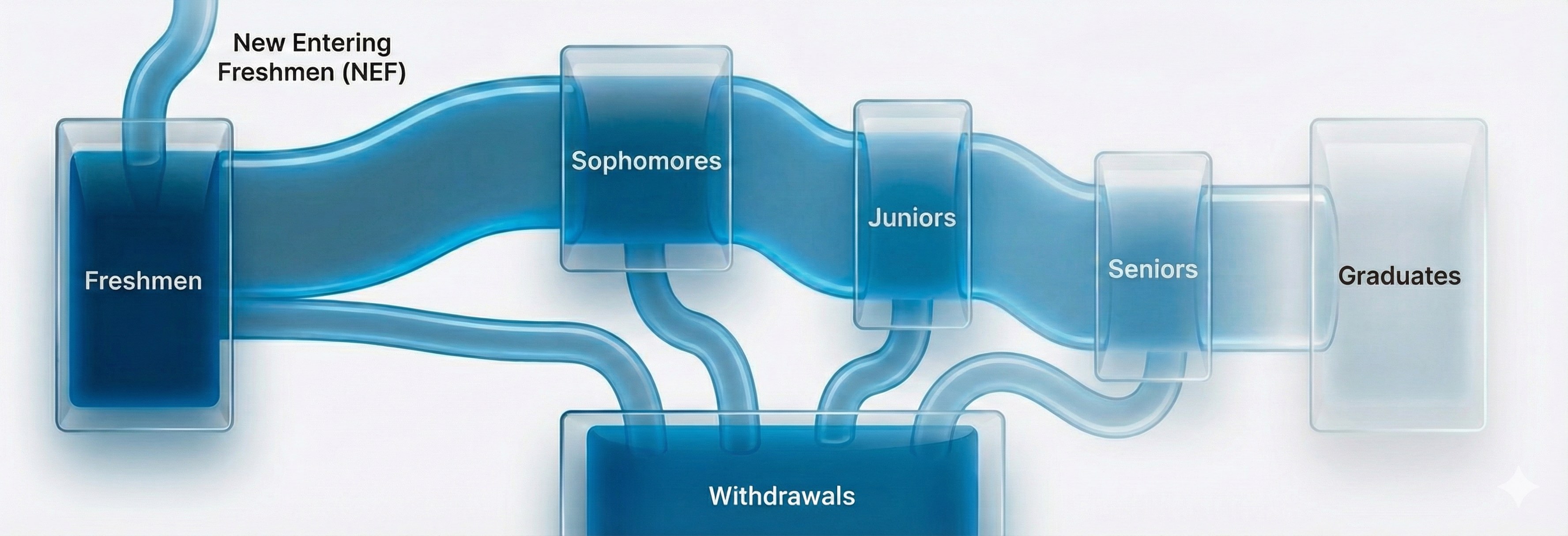 Student flow Sankey diagram showing progression from Freshmen through Sophomores, Juniors, Seniors to Graduates, with withdrawals at each stage